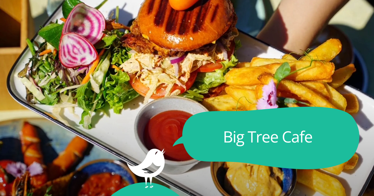 Big Tree Cafe: 50% off breakfast and lunch with First Table